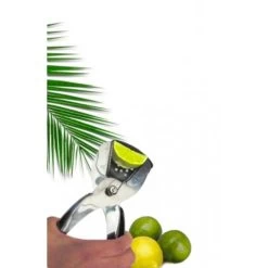 2er Set Edelstahl Zitronenpressen Zitronenschnitzel Obstschnitze Viertel Presse -Rabatt-Know-how für Küchengeräte. 09939106 4e6b 43f8 91f7 048fee8f47d0 1